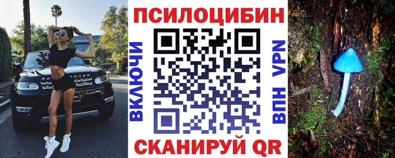 где найти   Евпатория  OMG маркетплейс  Псилоцибиновые грибы GOLDEN TEACHER 