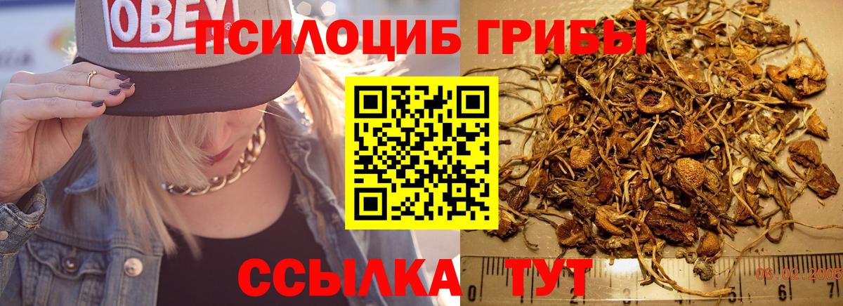 Псилоцибиновые грибы Cubensis Евпатория
