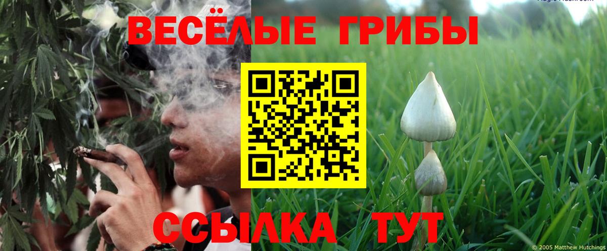 Галлюциногенные грибы прущие грибы  Вход с VPN  Евпатория  Псилоцибиновые грибы Cubensis 