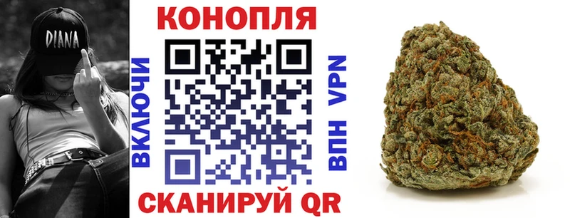 Канабис сатива Евпатория